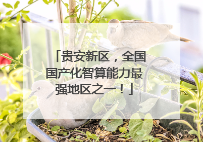 贵安新区，全国国产化智算能力最强地区之一！