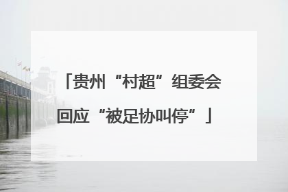 贵州“村超”组委会回应“被足协叫停”