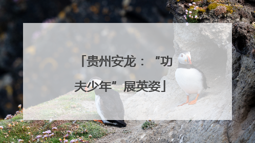 贵州安龙：“功夫少年”展英姿