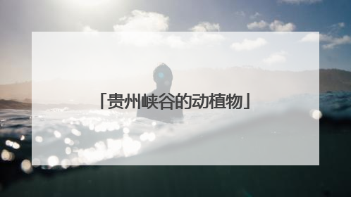 贵州峡谷的动植物