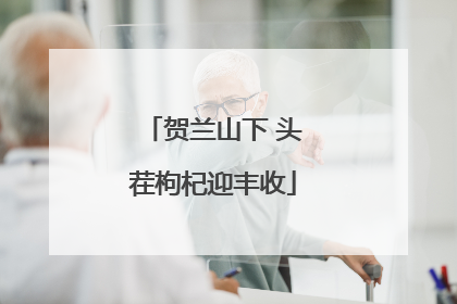 贺兰山下 头茬枸杞迎丰收