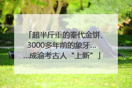 超半斤重的秦代金饼、3000多年前的象牙……成渝考古人“上新”