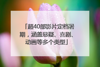 超40部影片定档暑期，涵盖悬疑、喜剧、动画等多个类型