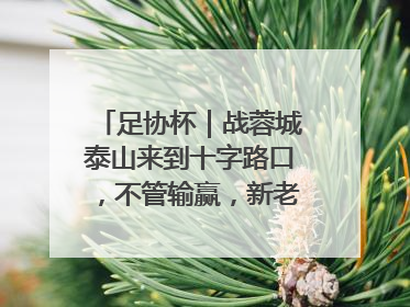 足协杯｜战蓉城泰山来到十字路口，不管输赢，新老交替势在必行