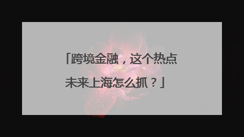 跨境金融，这个热点未来上海怎么抓？
