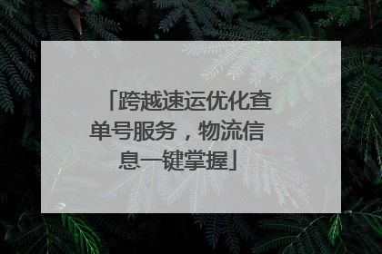 跨越速运优化查单号服务，物流信息一键掌握