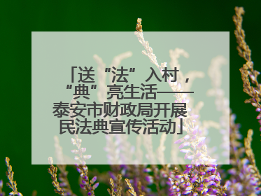 送“法”入村，“典”亮生活——泰安市财政局开展民法典宣传活动