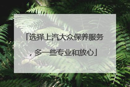 选择上汽大众保养服务，多一些专业和放心