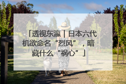 透视东瀛｜日本六代机欲命名“烈风”，暗藏什么“祸心”