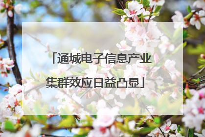 通城电子信息产业集群效应日益凸显