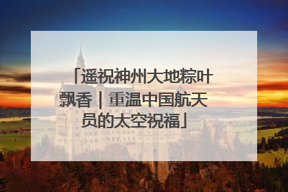 遥祝神州大地粽叶飘香｜重温中国航天员的太空祝福