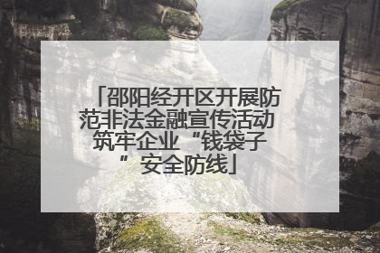 邵阳经开区开展防范非法金融宣传活动 筑牢企业“钱袋子”安全防线
