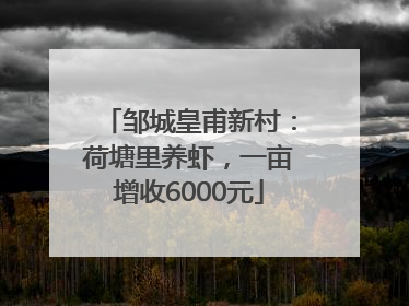 邹城皇甫新村：荷塘里养虾，一亩增收6000元