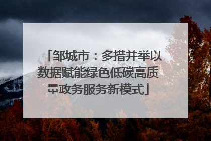 邹城市：多措并举以数据赋能绿色低碳高质量政务服务新模式