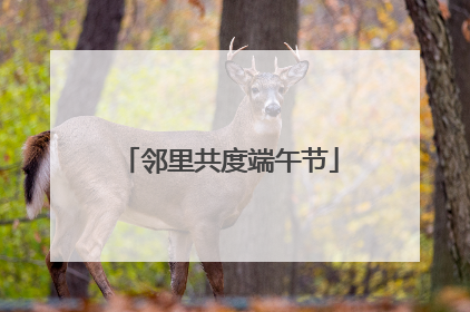 邻里共度端午节