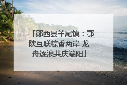 郧西县羊尾镇：鄂陕互联粽香两岸 龙舟逐浪共庆端阳