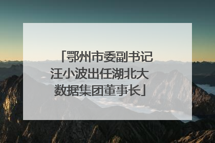 鄂州市委副书记汪小波出任湖北大数据集团董事长