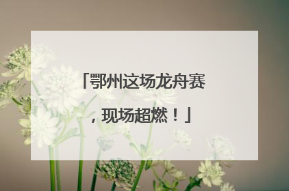 鄂州这场龙舟赛，现场超燃！
