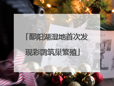 鄱阳湖湿地首次发现彩鹮筑巢繁殖