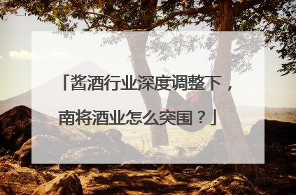 酱酒行业深度调整下，南将酒业怎么突围？