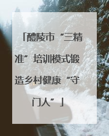 醴陵市“三精准”培训模式锻造乡村健康“守门人”