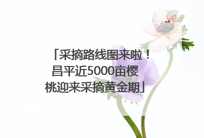 采摘路线图来啦！昌平近5000亩樱桃迎来采摘黄金期