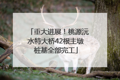 重大进展！桃源沅水特大桥42根主墩桩基全部完工