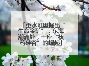 重水堆里掘出“生命金矿”：东海潮涌处，一座“核药硅谷”的崛起