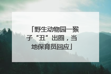 野生动物园一猴子“丑”出圈，当地保育员回应