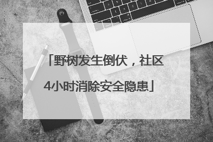 野树发生倒伏，社区4小时消除安全隐患