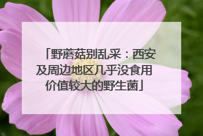 野蘑菇别乱采：西安及周边地区几乎没食用价值较大的野生菌