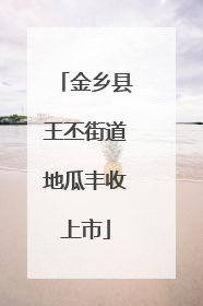 金乡县王丕街道地瓜丰收上市