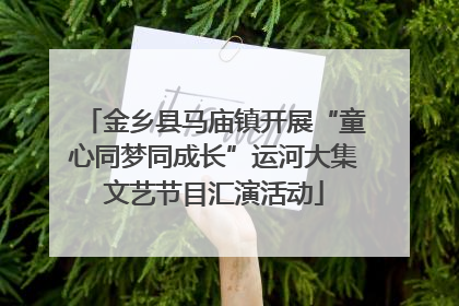 金乡县马庙镇开展“童心同梦同成长”运河大集文艺节目汇演活动