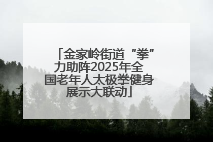 金家岭街道“拳”力助阵2025年全国老年人太极拳健身展示大联动