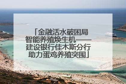金融活水破困局 智能养殖焕生机——建设银行佳木斯分行助力蛋鸡养殖突围