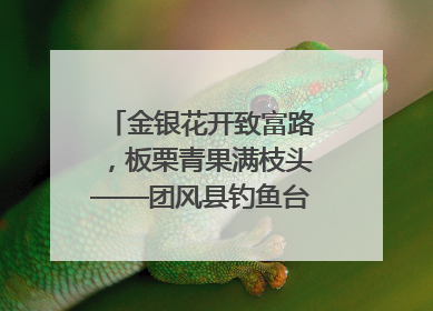 金银花开致富路，板栗青果满枝头——团风县钓鱼台村“山水生金”谱写共富新篇章