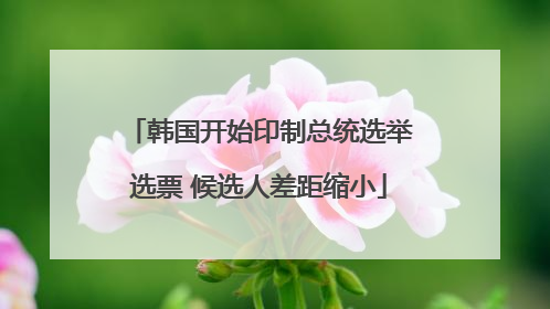 韩国开始印制总统选举选票 候选人差距缩小