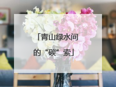 青山绿水间的“碳”索