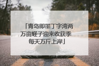 青岛即墨丁字湾两万亩蛏子迎来收获季 每天万斤上岸