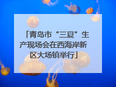青岛市“三夏”生产现场会在西海岸新区大场镇举行