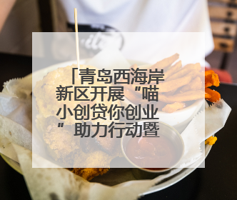 青岛西海岸新区开展“喵小创贷你创业”助力行动暨“西创赢——创业大咖说”主题活动
