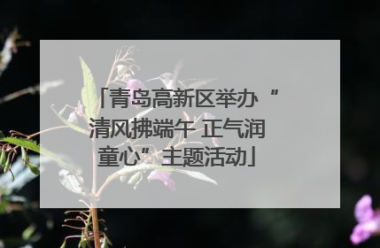 青岛高新区举办“清风拂端午 正气润童心”主题活动