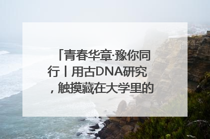青春华章·豫你同行丨用古DNA研究，触摸藏在大学里的“上下五千年”