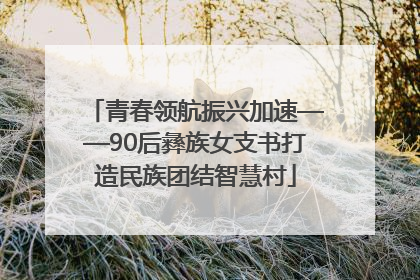 青春领航振兴加速——90后彝族女支书打造民族团结智慧村