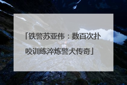 铁警苏亚伟：数百次扑咬训练淬炼警犬传奇