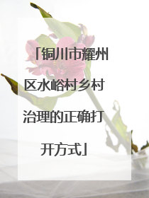 铜川市耀州区水峪村乡村治理的正确打开方式