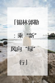 锡林郭勒：乘“新”风向“绿”行
