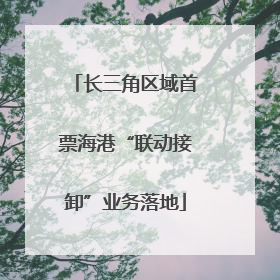 长三角区域首票海港“联动接卸”业务落地