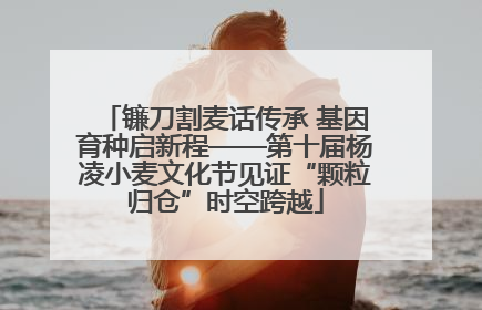 镰刀割麦话传承 基因育种启新程——第十届杨凌小麦文化节见证“颗粒归仓”时空跨越