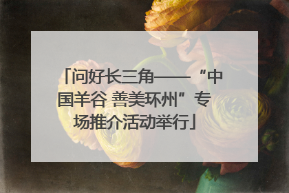 问好长三角——“中国羊谷 善美环州”专场推介活动举行
